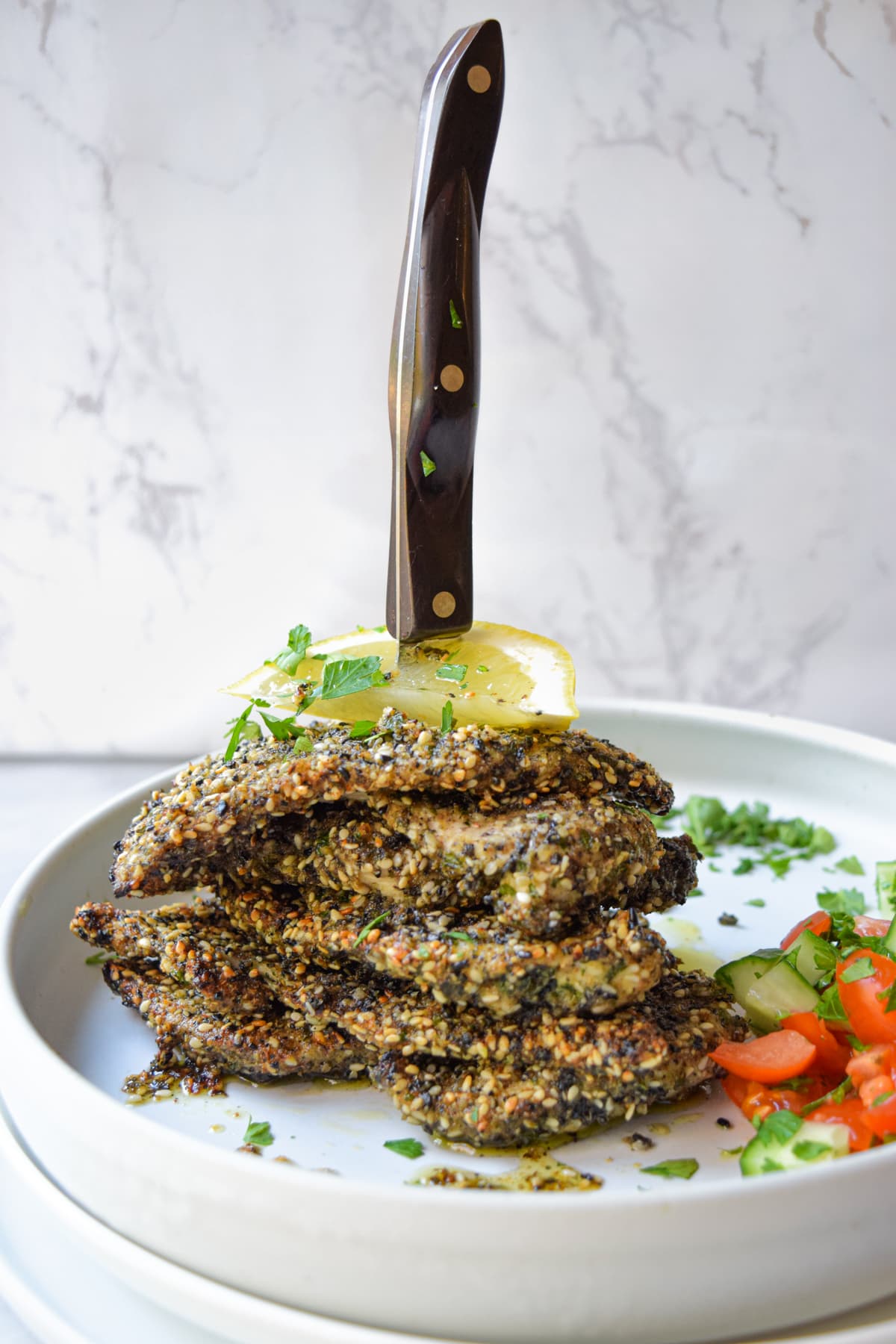 Passover Chicken Schnitzel - Baked or Fried